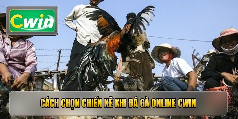 Cách chọn chiến kê khi đá gà online cwin