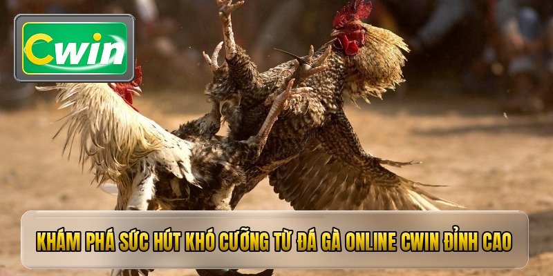 Khám phá sức hút khó cưỡng từ đá gà online cwin đỉnh cao