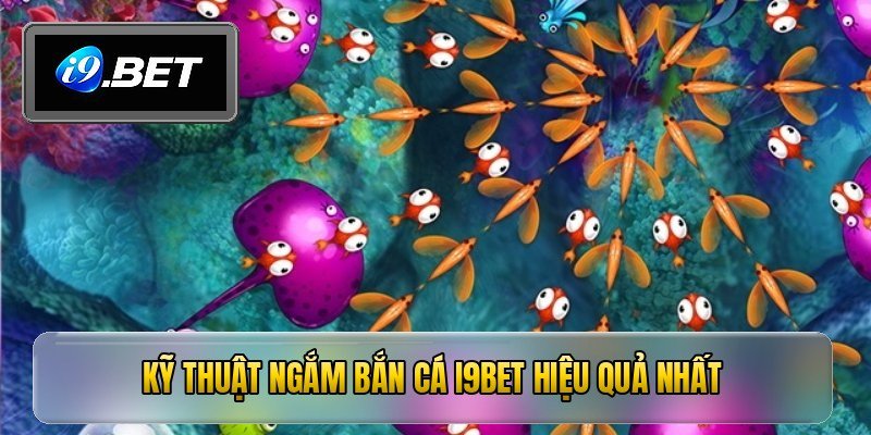 Kỹ thuật ngắm bắn cá i9bet hiệu quả nhất