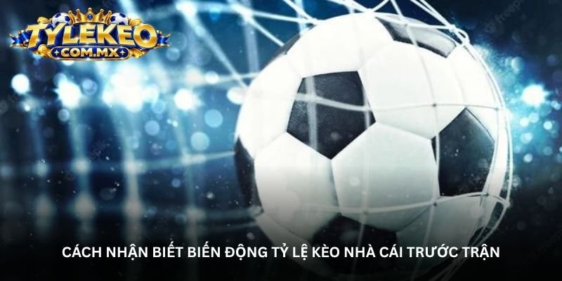 Cách nhận biết biến động tỷ lệ kèo nhà cái trước trận